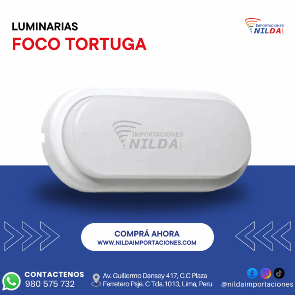 FOCO TORTUGA